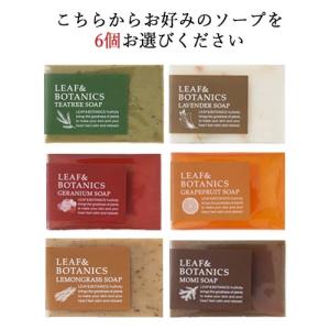 松山油脂 リーフ&ボタニクス(LEAF&amp...の詳細画像1
