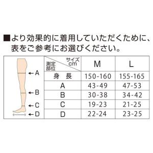 メディキュット 寝ながらメディキュット ロング Mの詳細画像3