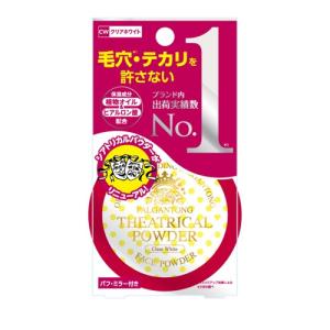 「ポイント10％バック 6月5日」 パルガントン シアトリカルパウダーN　クリアホワイト 10g