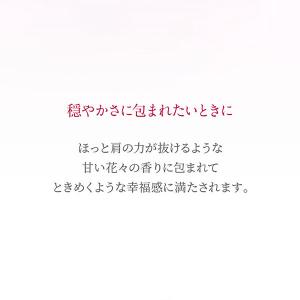 ニールズヤード レメディーズ アロマパルス ウ...の詳細画像2