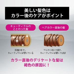 スティーブンノル カラークチュール アフターカ...の詳細画像2