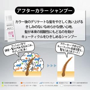 スティーブンノル カラークチュール アフターカ...の詳細画像3
