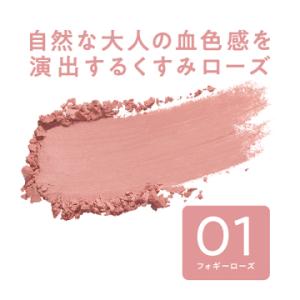 セザンヌ チークブラッシュ(01 フォギーロー...の詳細画像1