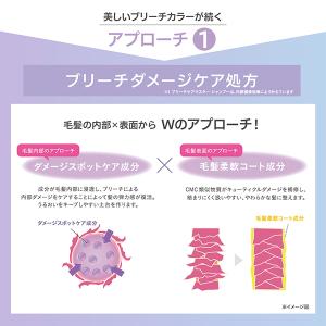 スティーブンノル スティーブンノル ブリーチケ...の詳細画像3