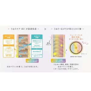 ulumee コントロールプロテイン シャンプ...の詳細画像1