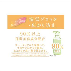ulumee コントロールプロテイン シャンプ...の詳細画像3