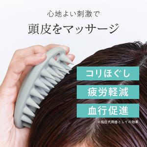 デイリーディライト スカルプブラシ W6.7×...の詳細画像4