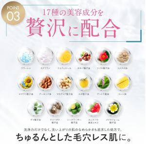 CHPT.9 ポアクリアセラム 30mlの詳細画像4