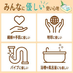 「ポイント10%バック 8月25日」緑の魔女 ...の詳細画像2