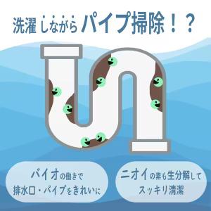 緑の魔女 ランドリー(洗濯用液体洗剤)(詰替え...の詳細画像1