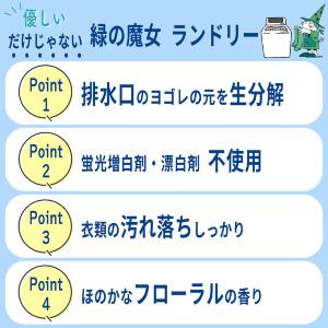 緑の魔女 ランドリー(洗濯用液体洗剤)(詰替え...の詳細画像3