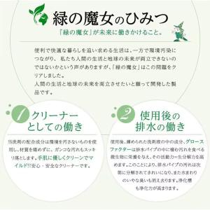 緑の魔女 ランドリー(洗濯用液体洗剤)(詰替え...の詳細画像4
