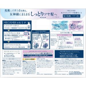 MEGAMIS モイストシリーズ本体セット 4...の詳細画像1