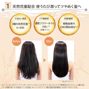 SS ビオリス フルールシロップ 限定デザイン...の詳細画像2