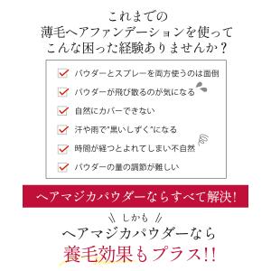 白髪 薄毛 自然に隠す パウダー 白髪かくし ...の詳細画像4