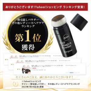 白髪 薄毛 自然に隠す パウダー 白髪かくし ...の詳細画像3