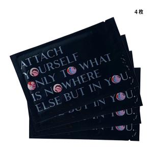 Kanebo（カネボウ） エコ包装/外箱なし スマイル パフォーマー 33ml×1