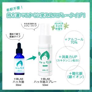 十美LAB ハッカ油スプレー 50ml バーベ...の詳細画像1