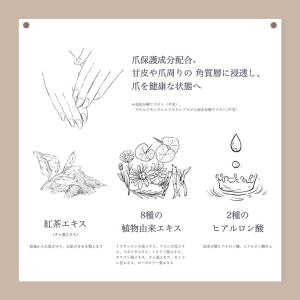 BIBIDAY Tea time ハンドクリー...の詳細画像4