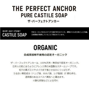 ザ・パーフェクトアンカー THE PERFEC...の詳細画像3