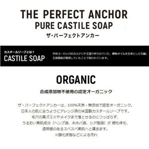 ザ・パーフェクトアンカー THE PERFEC...の詳細画像3