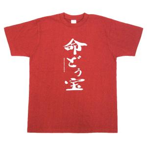 U.Ｓ．ＡＩＲ　ＦＯＲＣＥ　KADENA OKINAWA 嘉手納基地　Ｔシャツ 沖縄 Tシャツ ミリタリー 嘉手納基地 「U.S.AIR FORCE」エア