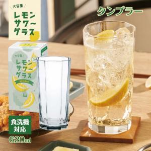 東洋佐々木ガラス 薄づくりハイボールグラスセット 435ml ペアセット
