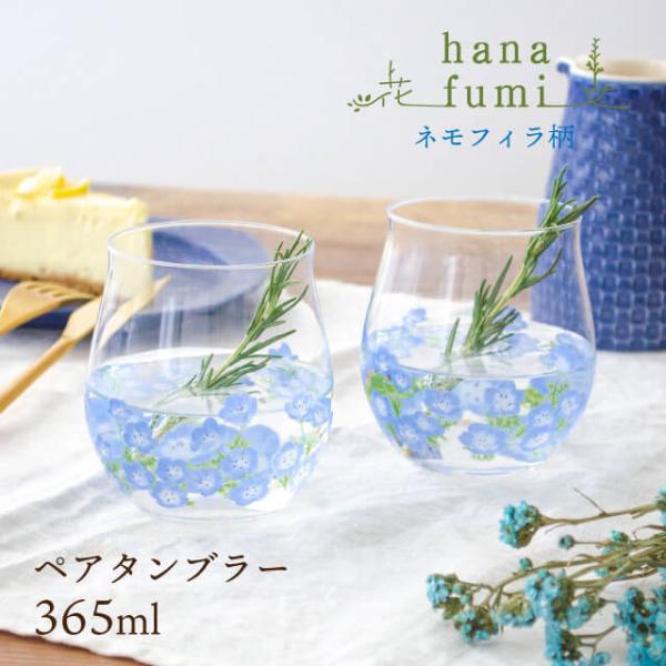 ペアフリーグラス ネモフィラ柄 365ml 2個入 花文 hanafumi 専用箱付 東洋佐々木ガラ...