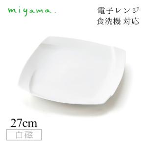 食器皿 27cm waenフラットプレート 2枚セット フォー ディナー for