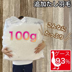 追加 タシ羽毛 ポーランド産ホワイトグース93% 100ｇ 羽毛布団