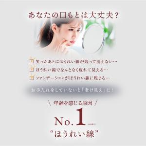 【アウトレット/箱無し】在庫限りで終了 特別価...の詳細画像2