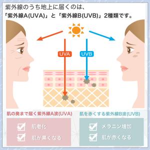 UV対策もばっちり/日傘 超軽量 梅雨対策 1...の詳細画像3
