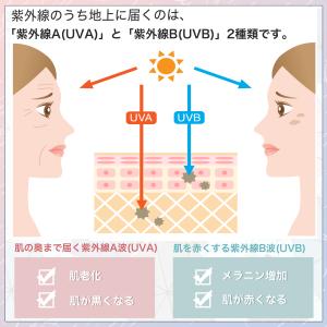 ＼大人気/日傘 超軽量 梅雨対策 132g U...の詳細画像3