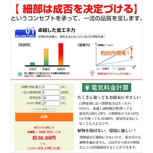 LEDネットライト 360球 2M×3M コー...の詳細画像1
