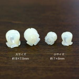 シェル 貝 マザーオブパール (スズラン すず...の詳細画像3