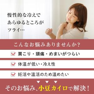 カイロ ホットパック こり 筋肉疲労 疲労回復...の詳細画像1