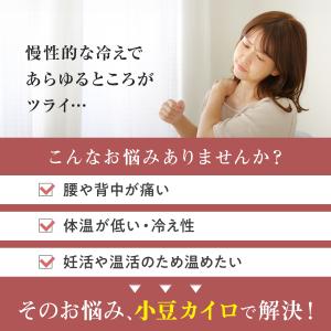カイロ ホットパック こり 温活 グッズ 妊活...の詳細画像2