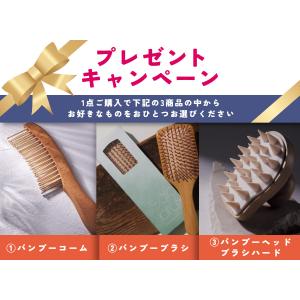 プロ仕様のコンパクト美髪ドライヤー クレイツイ...の詳細画像1