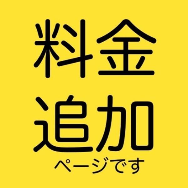 追加料金 オーダーメイド 運賃 転送料金 その他費用　　　