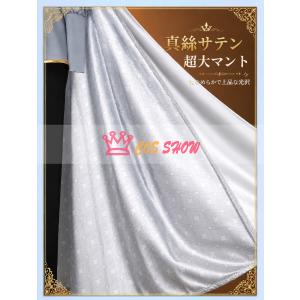 ツイステ シルバー SSR 夜明けの甲冑 コス...の詳細画像3