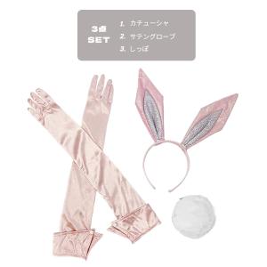 セール バニー アクセサリー 3点セット ピン...の詳細画像1