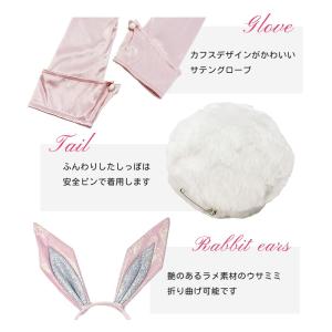 セール バニー アクセサリー 3点セット ピン...の詳細画像3