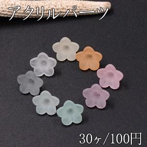 アクリルパーツ スクラブ 5弁花 穴あり 12×12mm 全8色【30ヶ】｜costumehouse