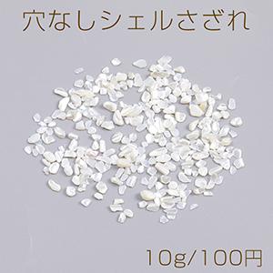 穴なしシェルさざれ 淡水シェル シェルさざれチップ 穴なしさざれチップ 不規則型（10g）｜costumehouse