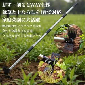 2WAY 草取り 除草ツール 雑草取り器具 道...の詳細画像1