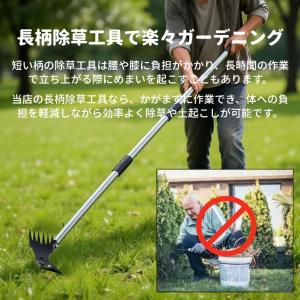 2WAY 草取り 除草ツール 雑草取り器具 道...の詳細画像2