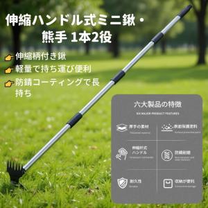 2WAY 草取り 除草ツール 雑草取り器具 道...の詳細画像3