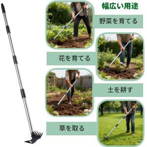 2WAY 草取り 除草ツール 雑草取り器具 道...の詳細画像4