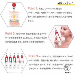 美顔器 ダーマペン 電動ダーマスタンプ 最新充...の詳細画像1