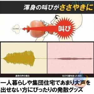 叫びの壺 ストレス解消 ぐちの壺 防音カラオケ...の詳細画像2